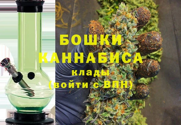 шишки Ростов