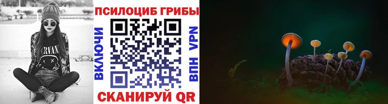 Псилоцибиновые грибы Cubensis  Светогорск 