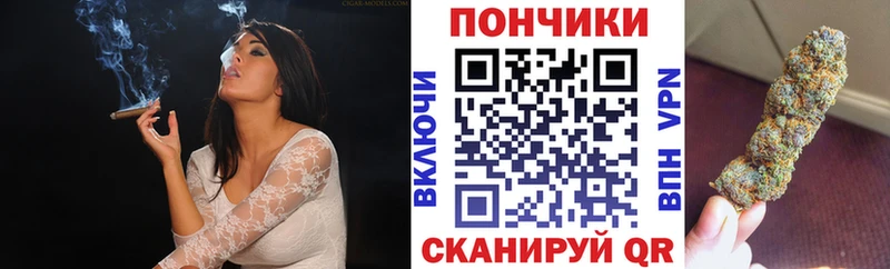 мега онион  что такое наркотик  Светогорск  Каннабис ГИДРОПОН 